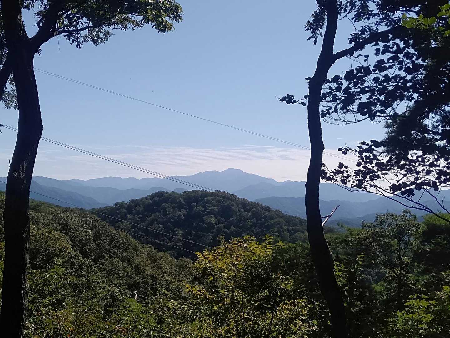 今日はよく見える。