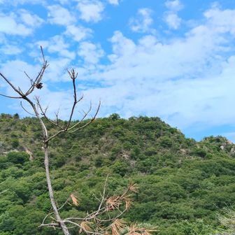 山頂を振り返る✨️