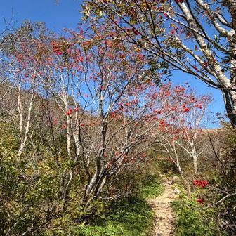 紅葉🍁も始まってます
