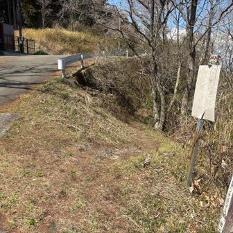 どこから下山するのかYAMAP見ながらウロウロ…
脇に登山道発見