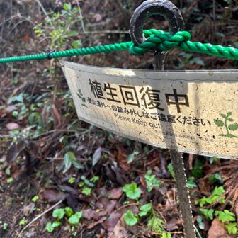 美しい自然を大切にしたいですね☘️