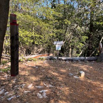 出野山。
ここも眺望はほぼ無し。