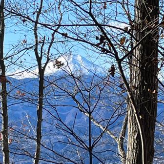 景信山に向かってしばらく歩いていくと木の間からも富士山が見えてくる