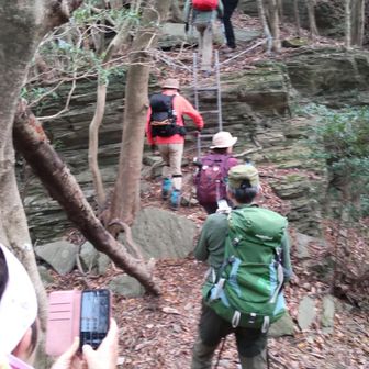 ハシゴを登ります
スマホで撮ってるところを撮る😄