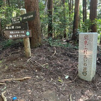 ここからお馴染みの関東ふれあいの道のようです