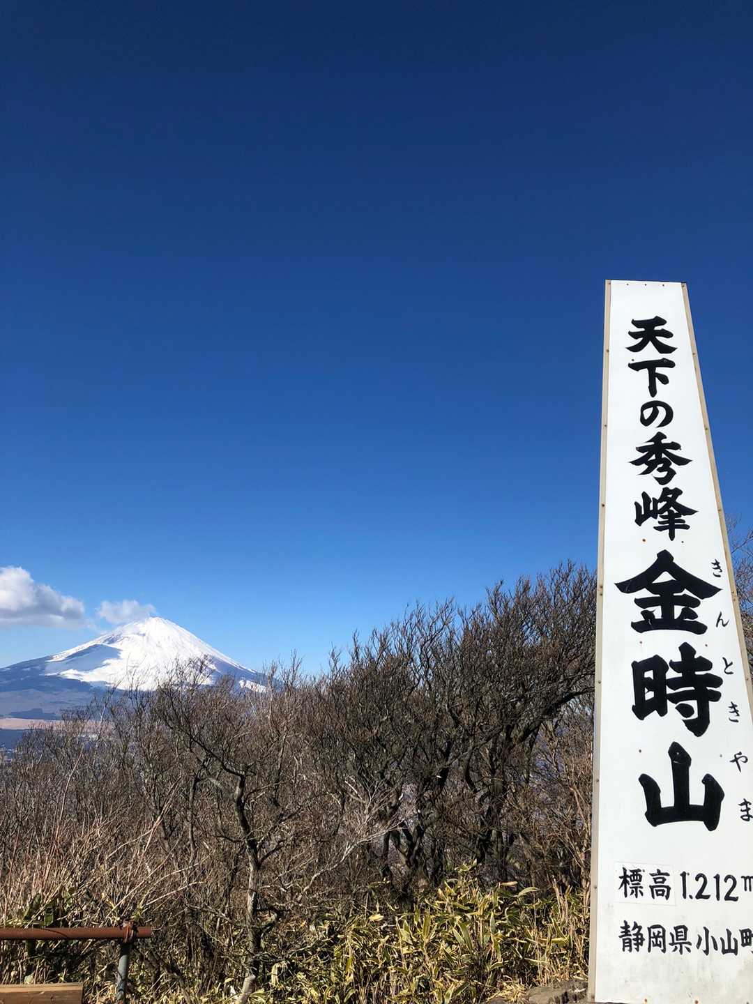 金時山（乙女峠）の写真