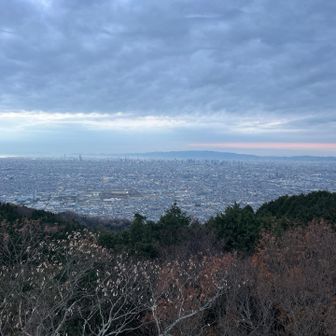 でました、生駒山地からの大阪一望✨
夜景🌃が楽しみです