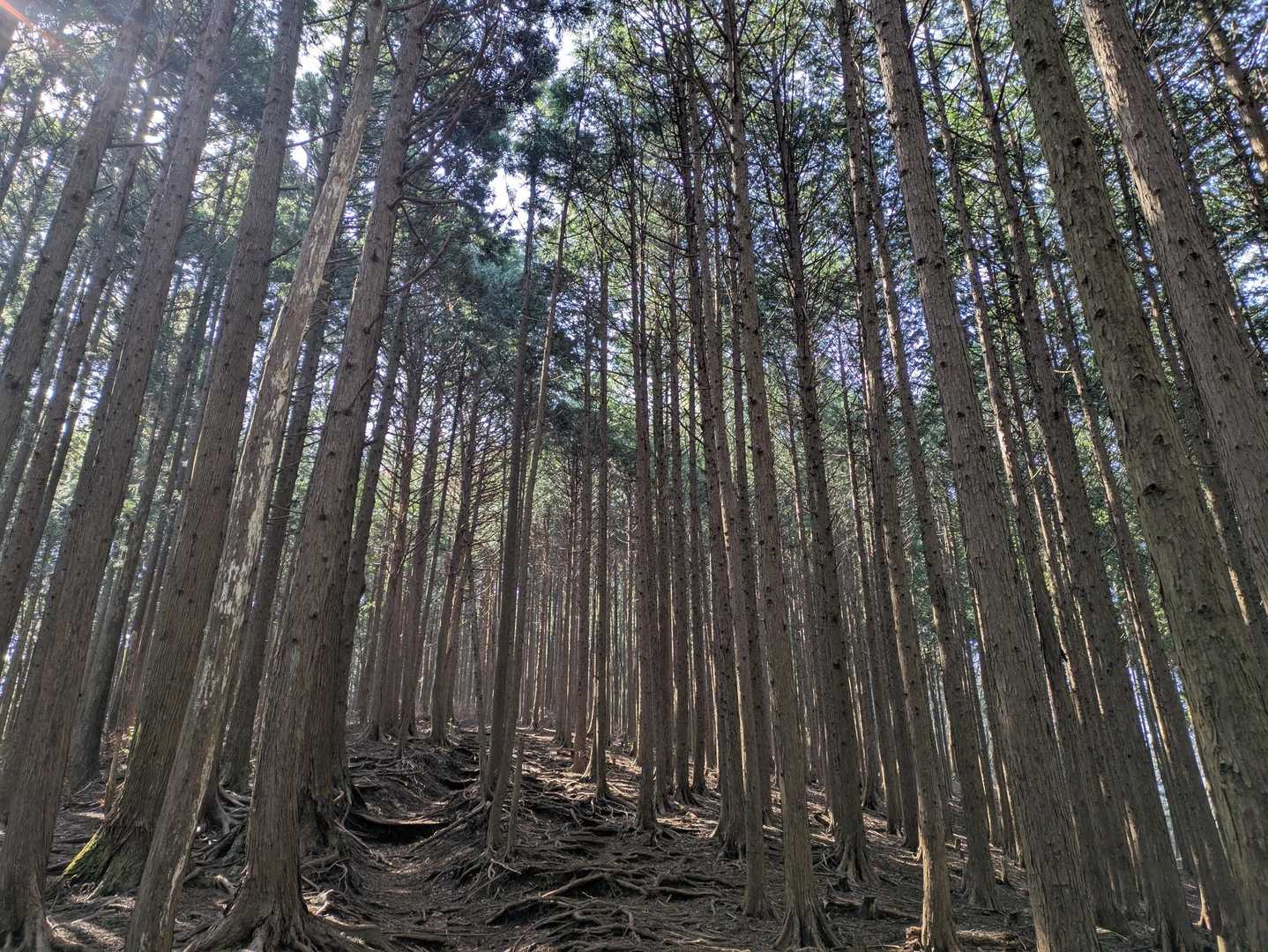 良き良き
歩いていて癒されます