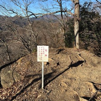 気を付けます！