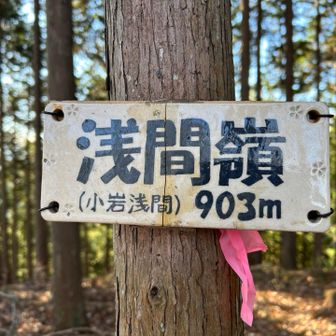 そして7座目　浅間嶺（小岩浅間）　関東百名山　74座目　🙌
眺望は特にナシ🙄