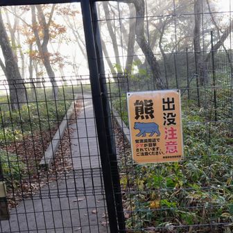 入口にあるフェンスの引戸
これを見て大音量の熊鈴を付けた

木道には霜が降りて白くなっている
滑りそうで、慎重に歩く

人影が無いなぁと思いながら進むと