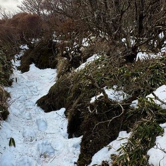 本峰より南峰へ
南峰手前は北側に面しますので❄️雪が残ってます💦
⛓️チェーンスパ持参してませんので 先人の👣足跡をたどります🤭