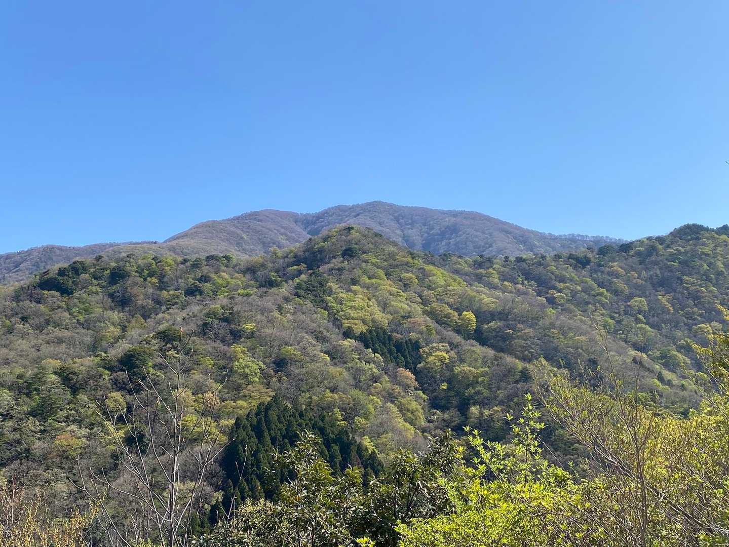 富士写ヶ岳
