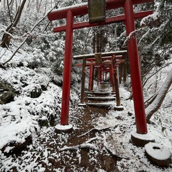 よく見ると大きい鳥居と小さな鳥居が混在
