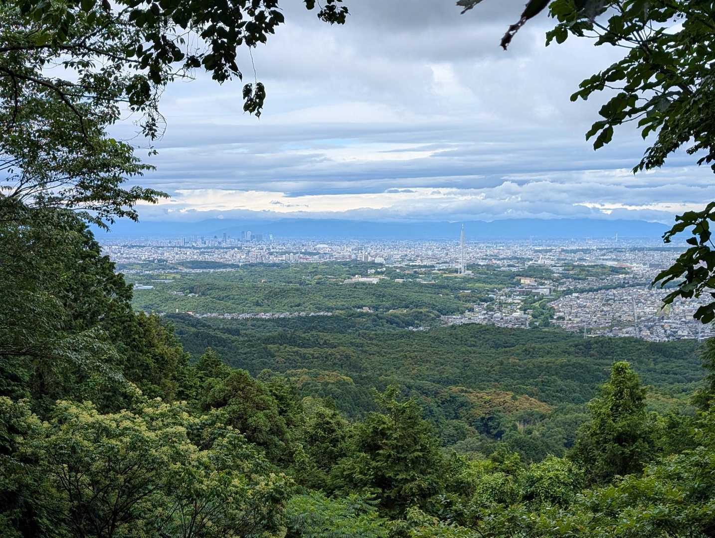 物見山 周回コースの写真