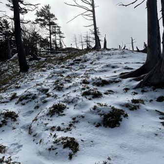 不動から先雪が増える！