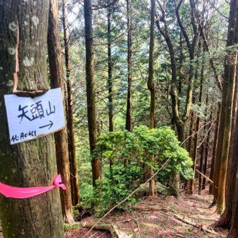 久しぶりのイセAOKIさんプレート
ここから急降