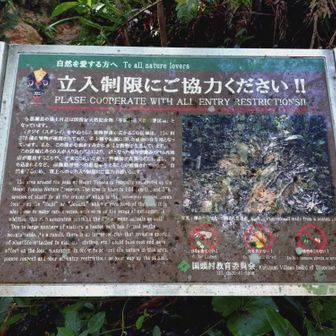 ここから登山道
