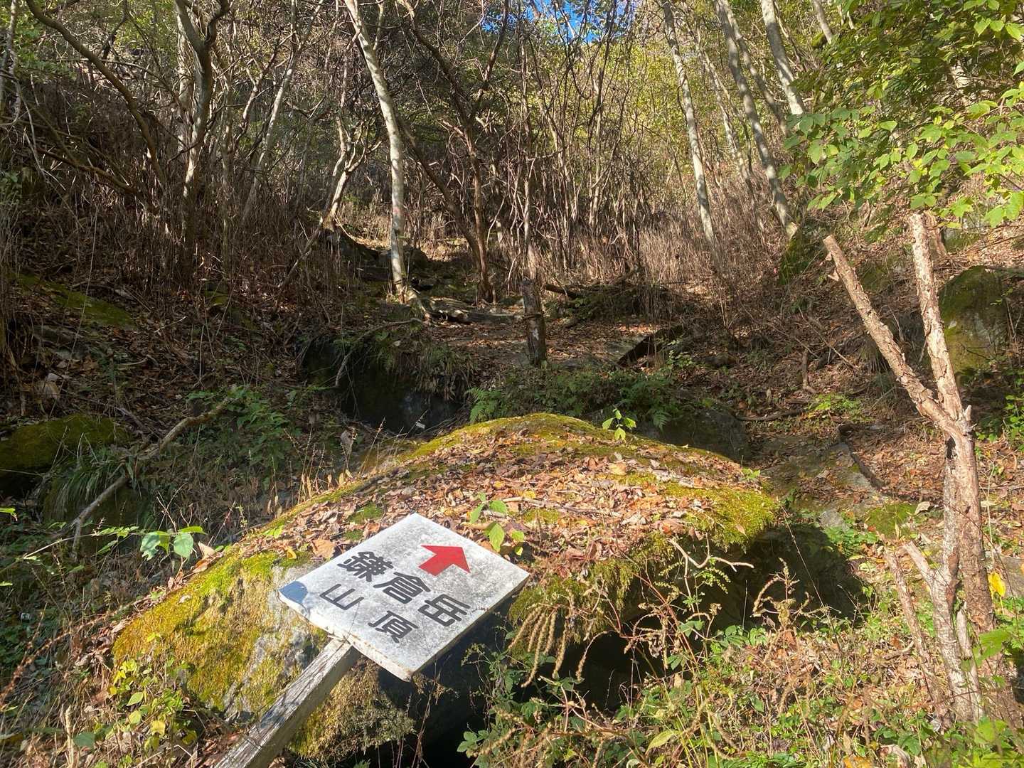 鎌倉岳 往復コースの写真