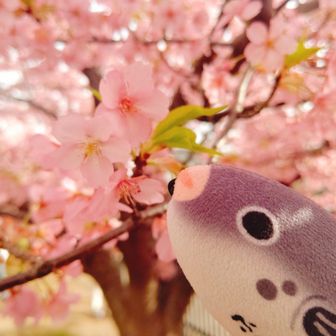 みひろ