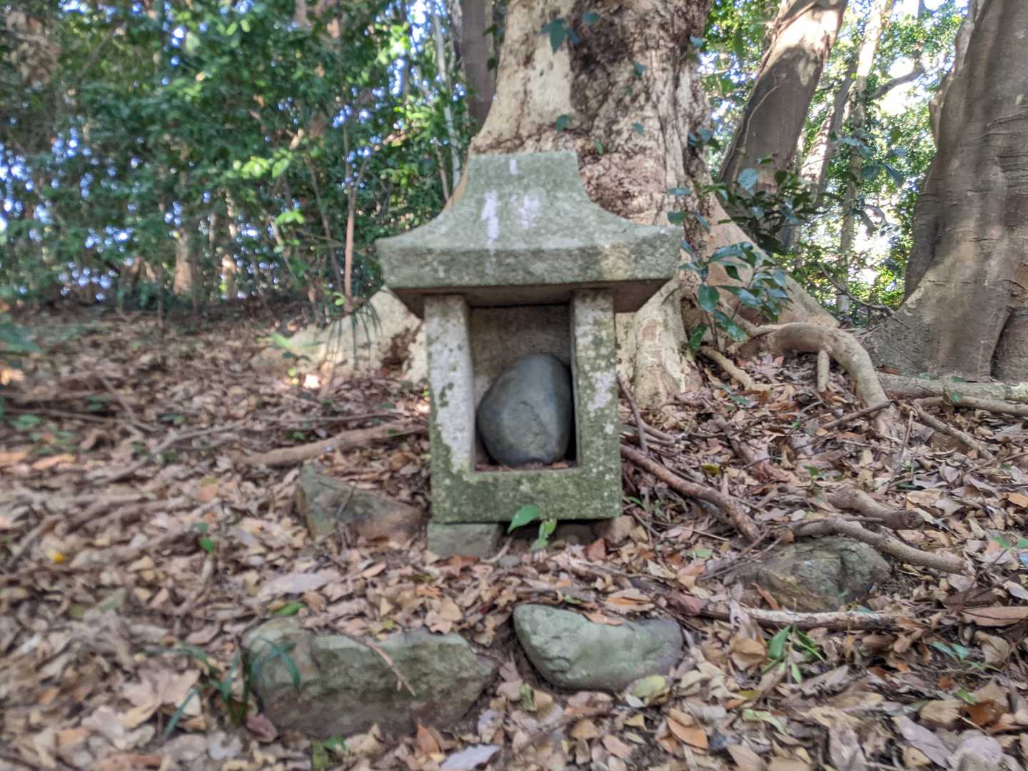 祠①