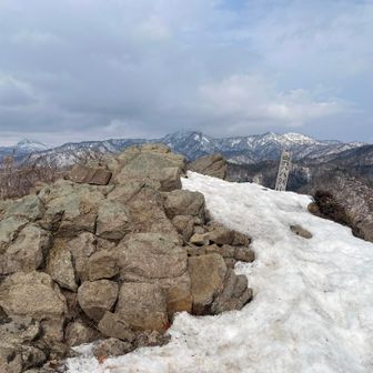 また来るね〜( ´ ▽ ` )ﾉ