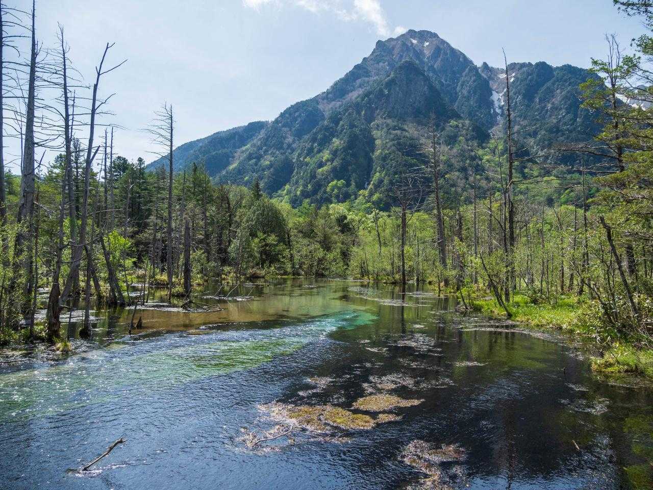 上高地バス停-河童橋-岳沢湿原-雷鳥広場-紀美子平-前穂高 縦走コースの写真
