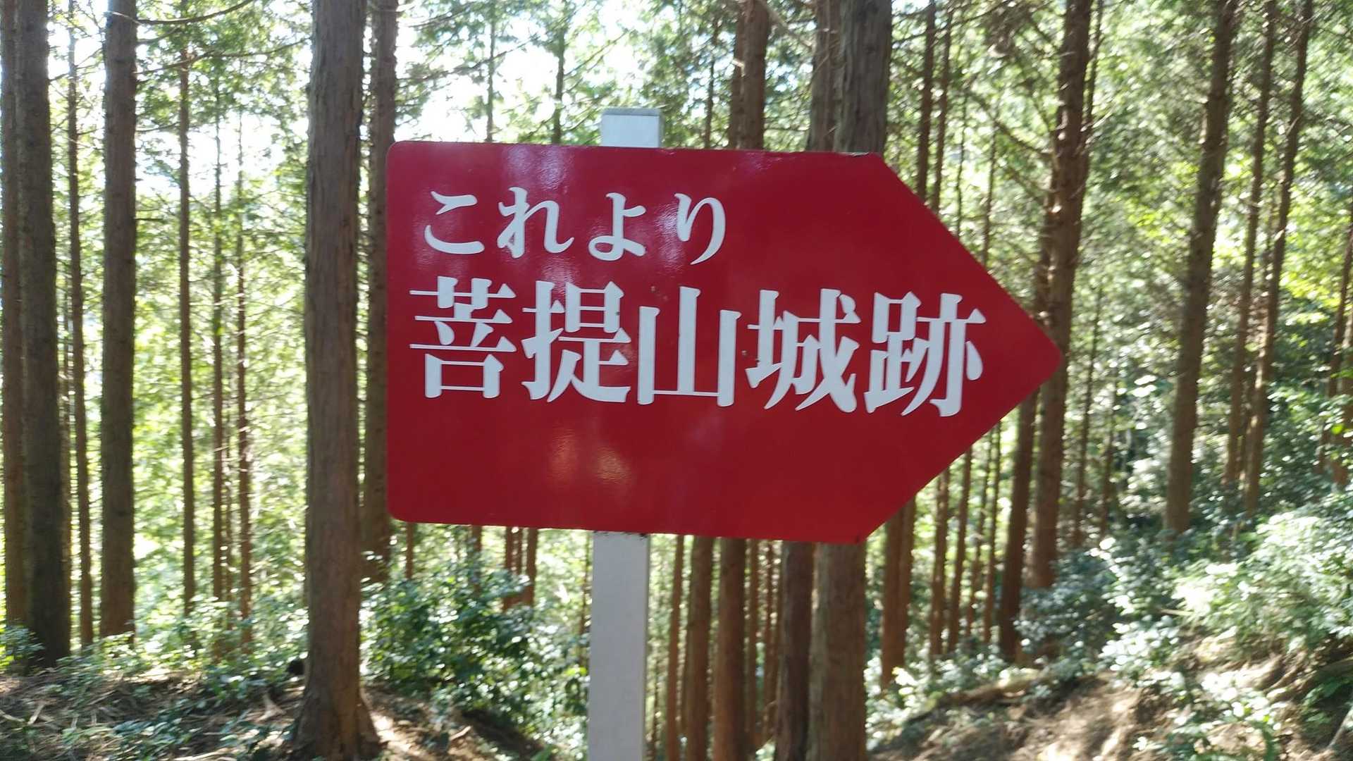 山頂は城址です