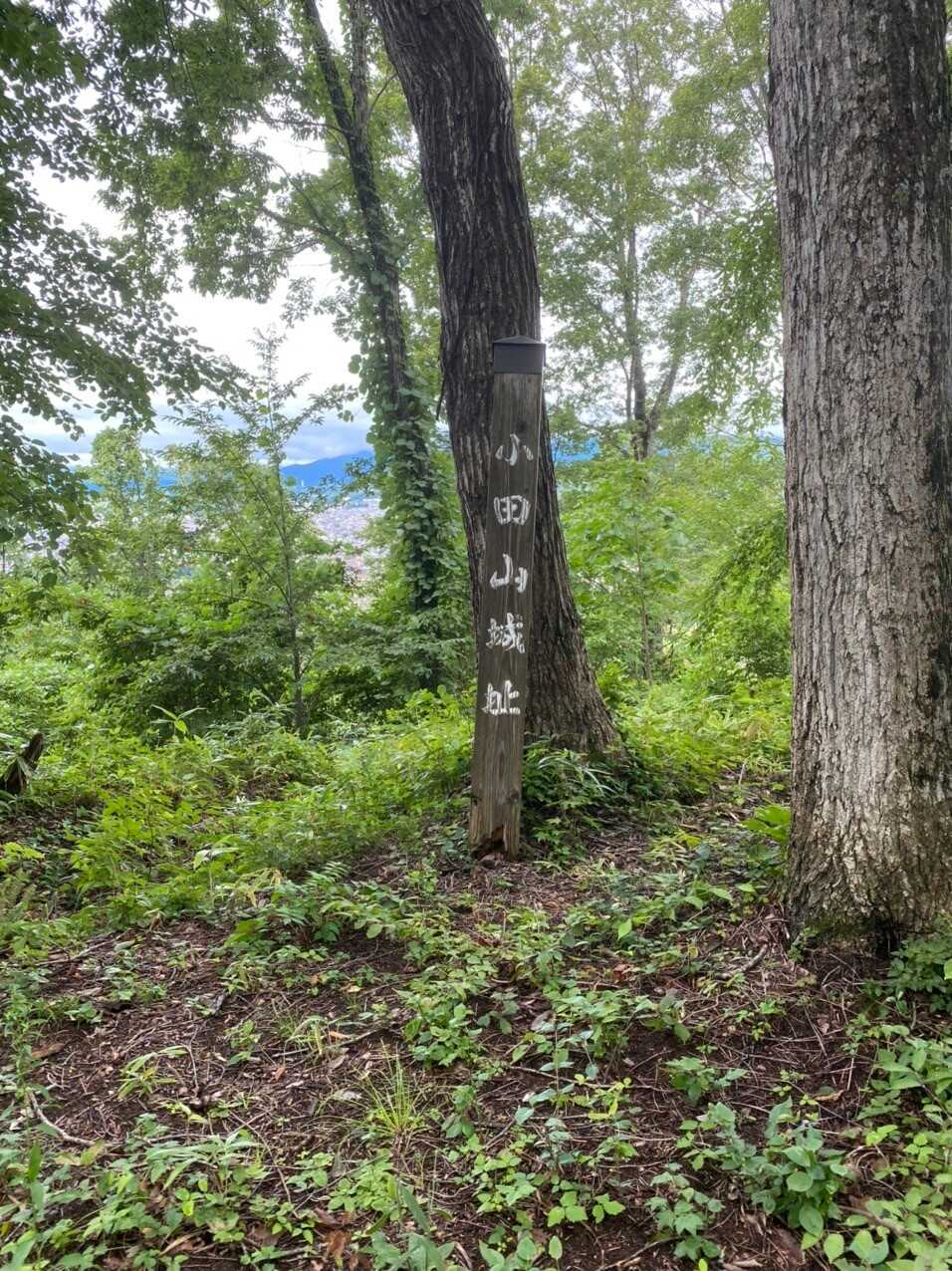 小田山（福島県）の写真