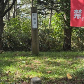白旗山頂上､ここは三等三角点でした。眺望無しです。