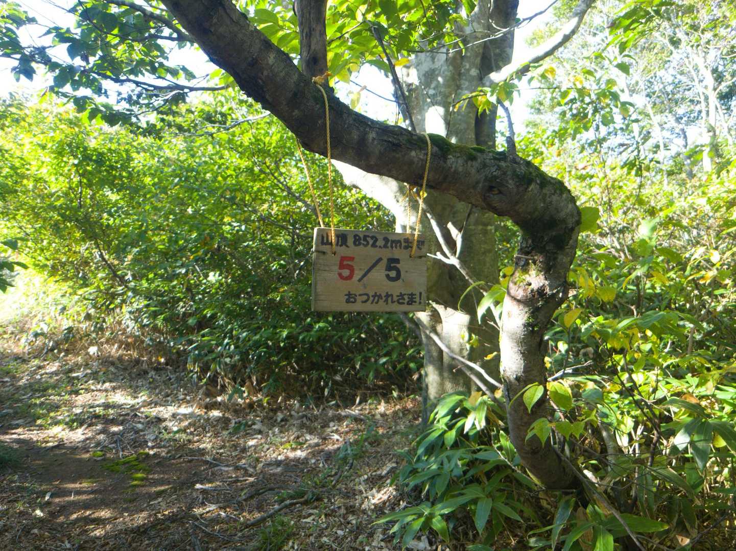 新保岳 往復コースの写真