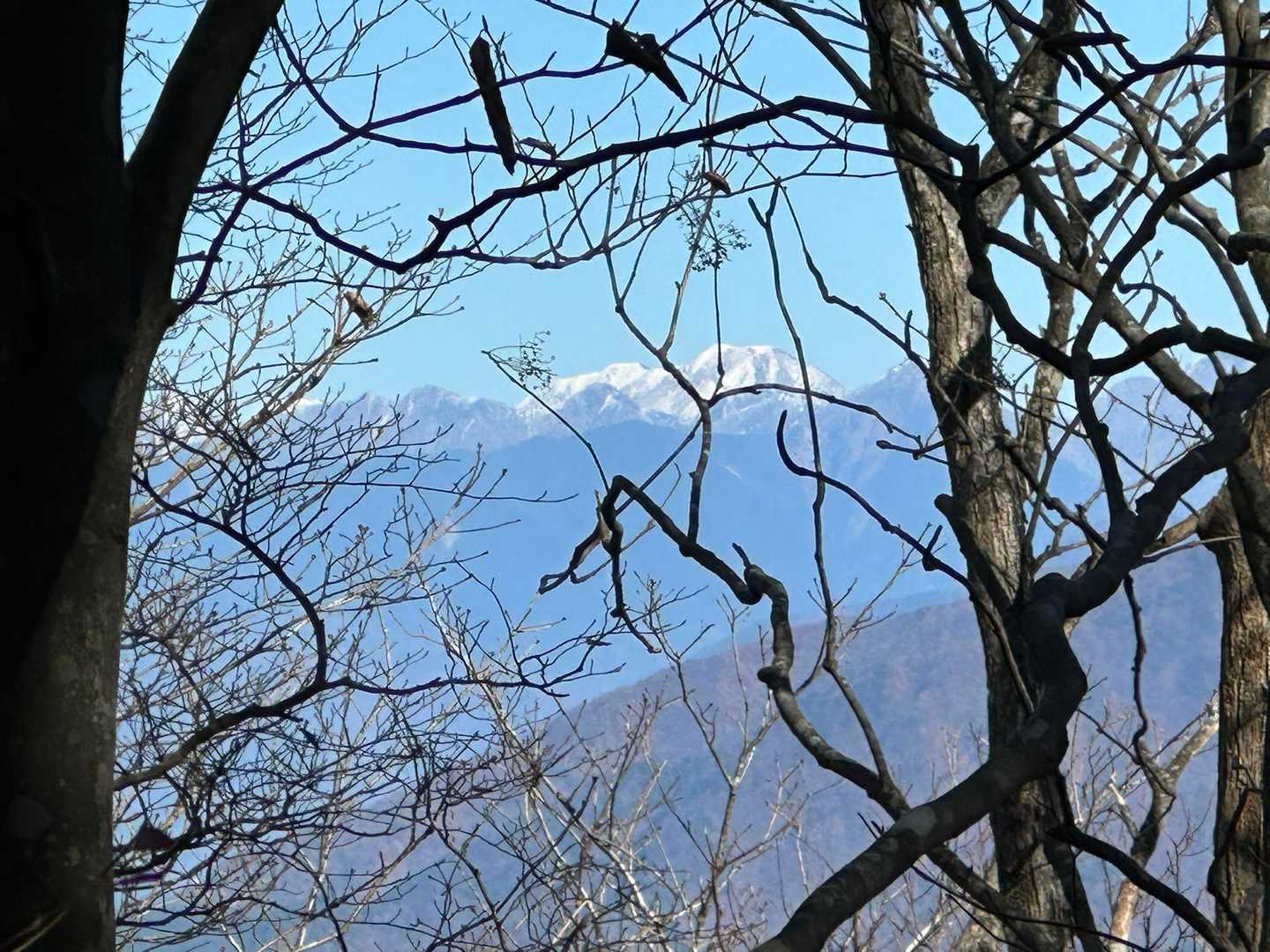 【南アの眺望】

白く冠雪した赤石岳❗️