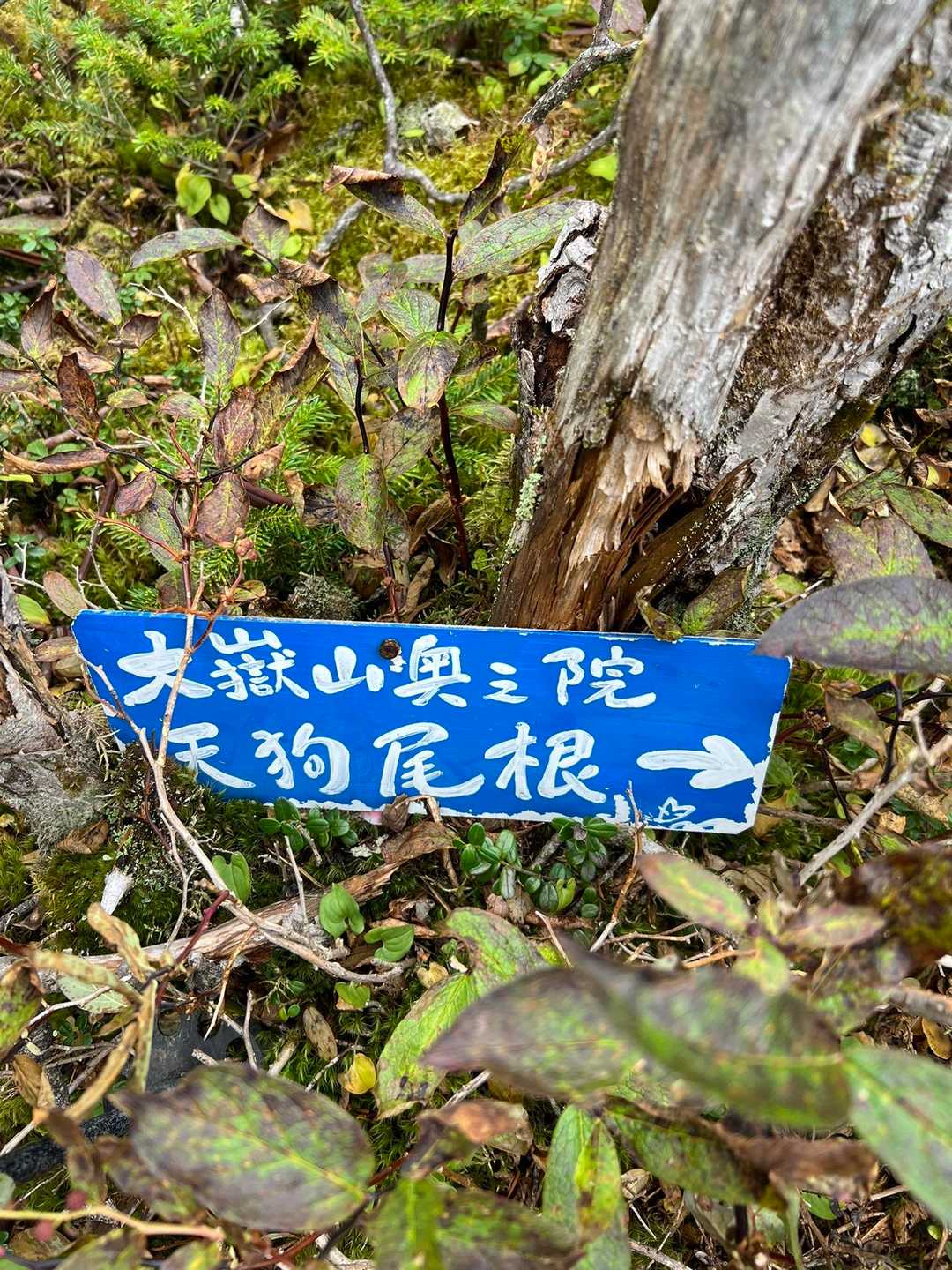 用心して向かいます