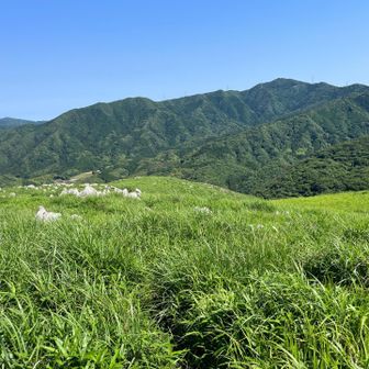 烏帽子岳が秋吉台の雰囲気のカルスト台地の端っこみたいです。