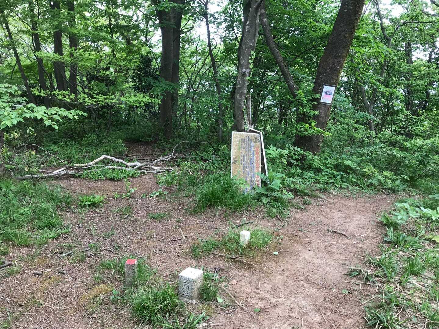 福井山の写真