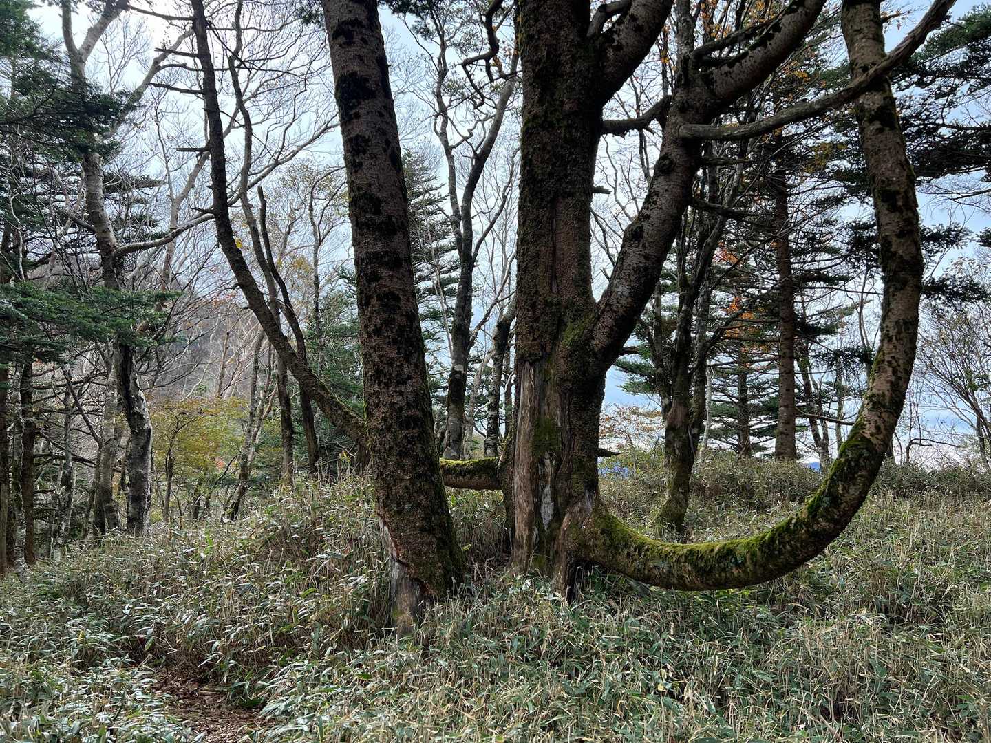 
「休んで行きやー！」、イヤ(ここは徳島)、
「休んでいくじょ？」かな？
(久しぶりの阿波弁、使い方違うかも？)

正しい阿波弁は、
「休んでいきよー。」でした。
     (かいちゃん先生より)
