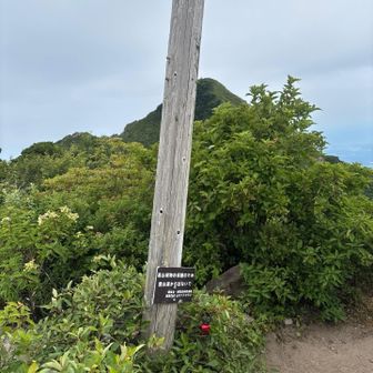 分岐に到着！　上はさすがに涼しい。