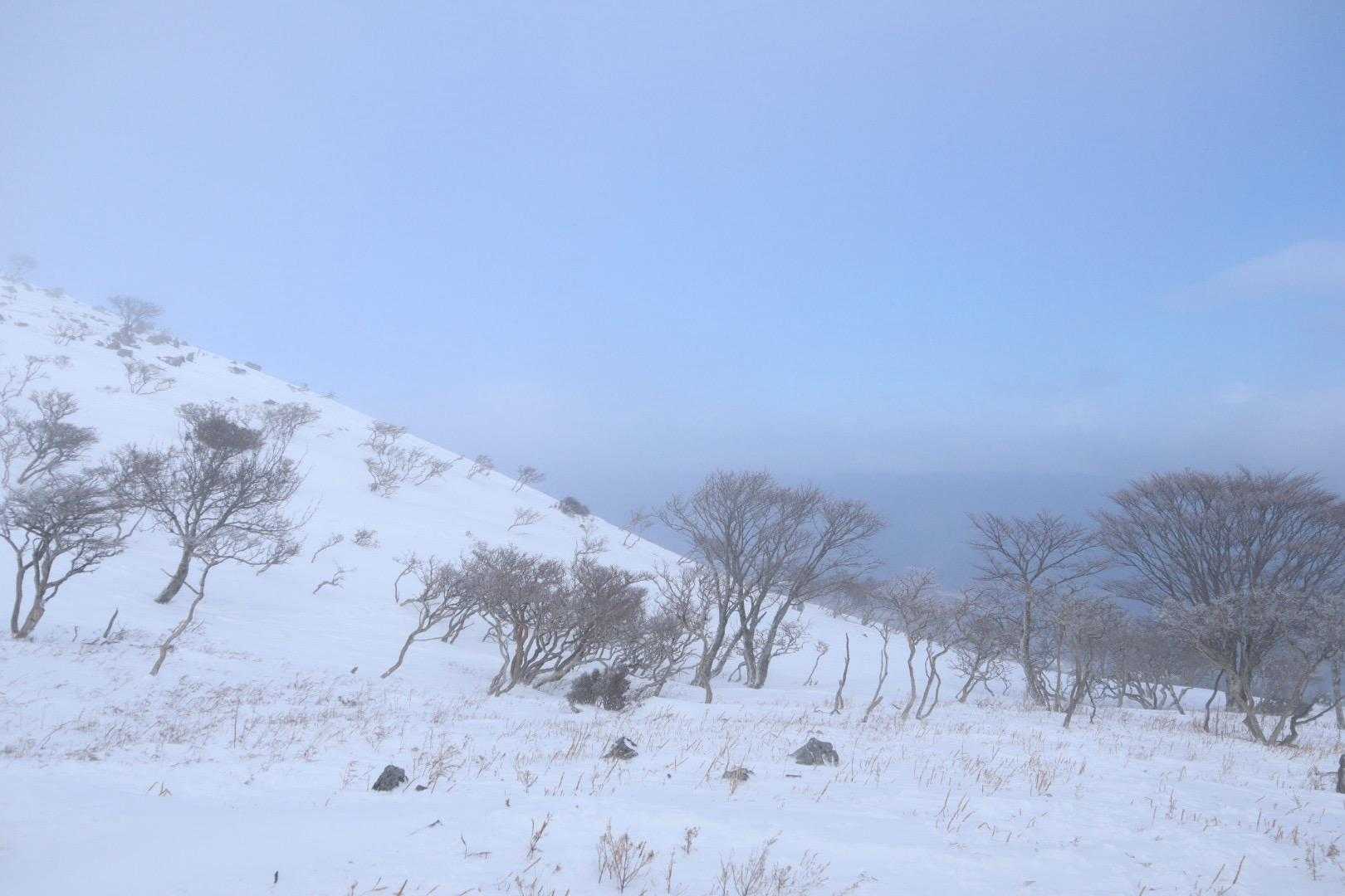 かろうじて青い写真