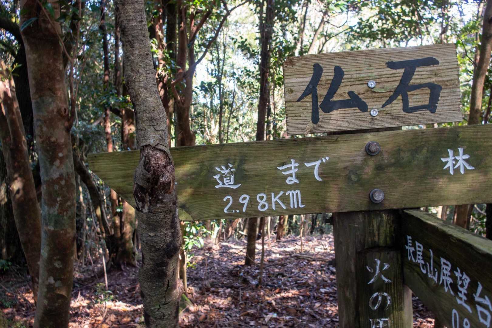 仏石ついた！ここからが未到ルート
県道(林道)まで2.98kmって細かっ！

3,000円より2,980円の方が安く感じるのと同じ効果を狙ったか🤣