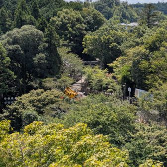 本道からの世界一大寅