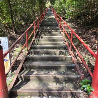 弥谷寺の108段階段
煩悩だらけでね～