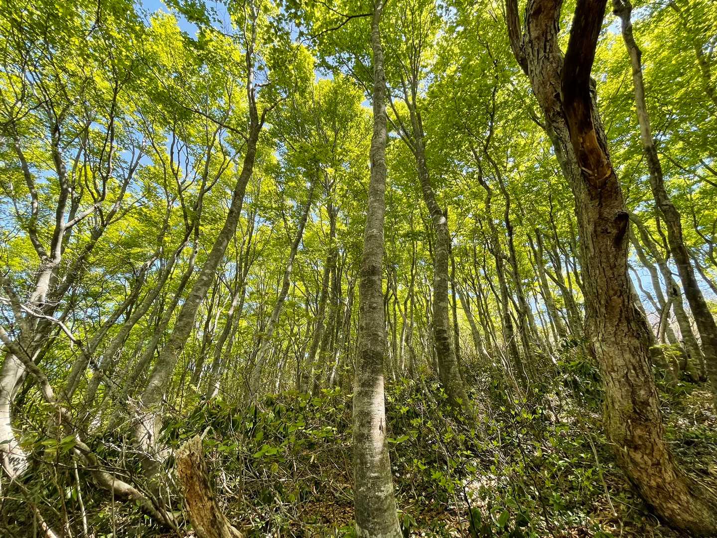 ステキやん✨✨