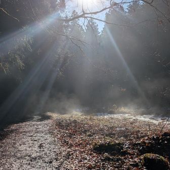年末にこんな暖かい日は珍しい。
年明けの雪予報でドカ雪が来たりするのかな？☃