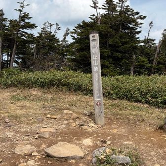 ちなみに山頂標識からの眺望はほとんどありません。