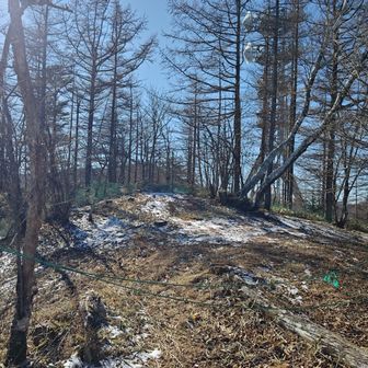 アカノラ山頂直前で！
なんでロープが！
・・手前でもピーク取れたんで帰ります。