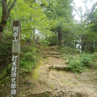 山頂でランチ