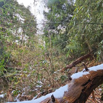 荒れとりますなぁ〜😅