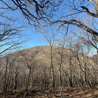 七人山へ向かう！東雨乞岳、大きく見える👀