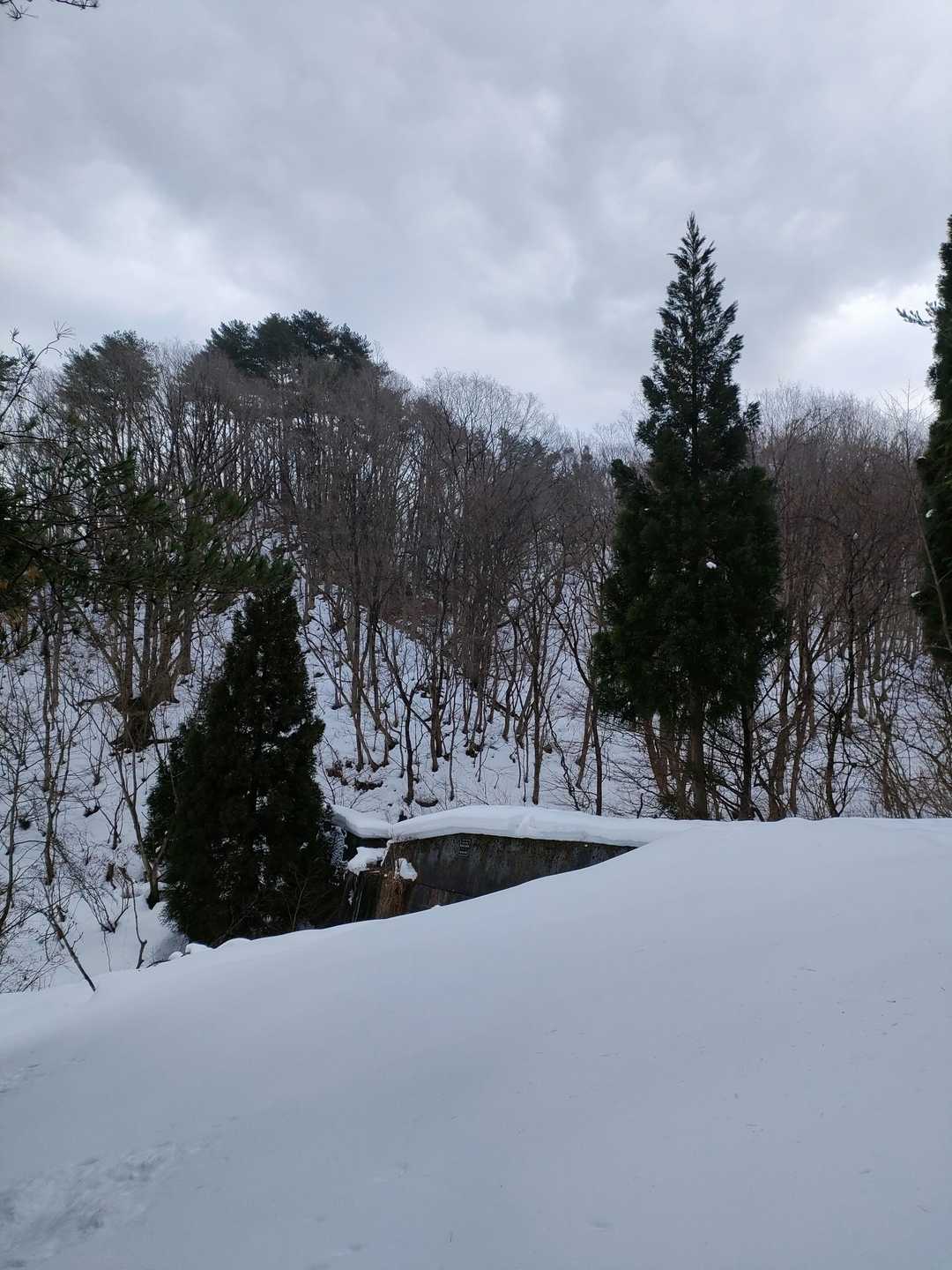 三ヶ上登山口-役行者石像 往復コースの写真