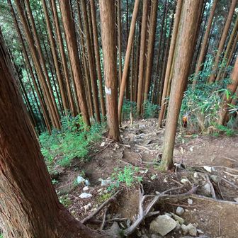 急斜面が続きます